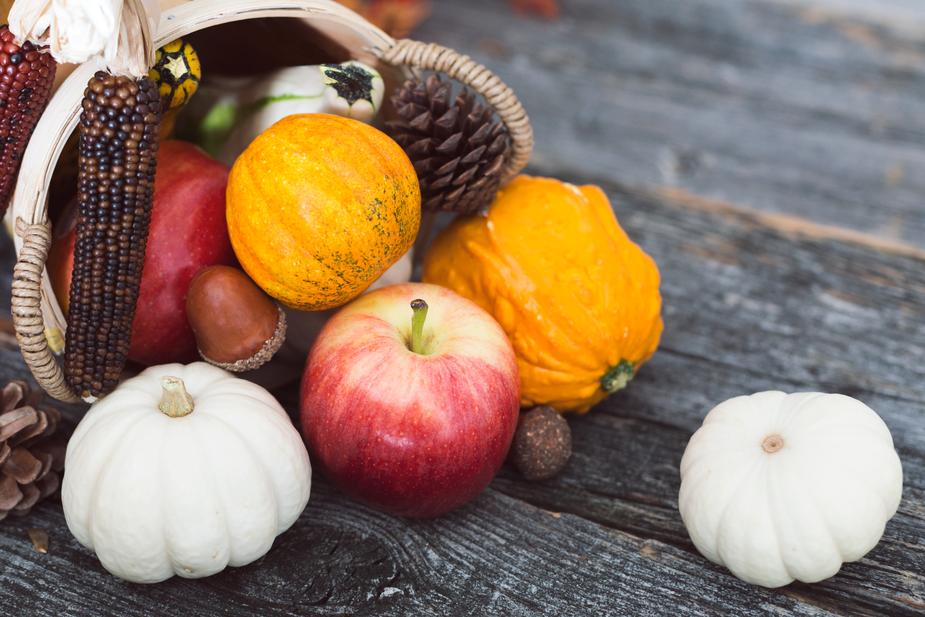 3 Quick Crafts for the Thanksgiving Season