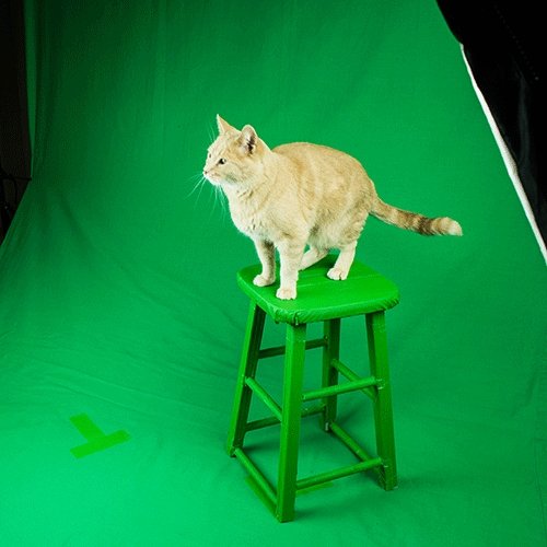 CANVAS GRIP  High quality grip equipment.: Chroma Key Green (tape)